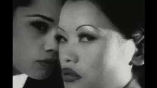 Kedi sonlandırıcılar!!! - bölüm #04