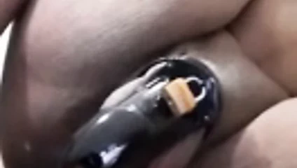 Sri lankan korkak koca sikikleri eş ile salatalık için gösteri bull