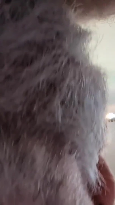 Epic moment from "Two Hairy Daddys in bed afterwork - Seattle gets bred"