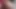 Büyük ganimet, minik kedi ile Web kamerası fuck derleme. 4k