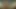 dedemin yeni sevgilisi