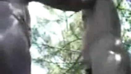 eski erkekler açık 00002