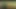 Sevgi dolu ayaklarımın hayranları için özel bir video
