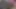 Seksi hatunlar Carmella Bing ve Trina Michaels üçlü anal seks yapıyor