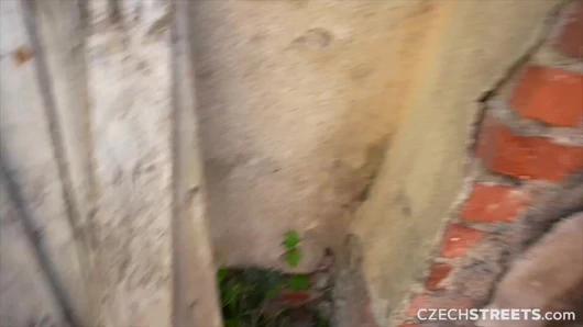 Çek sokakları 152: sevimli büyük memeli zenci kızla şenlik