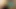 Prickteaser