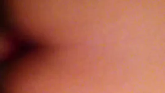 lanet kardeş köpek