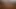 Babam ateşli porno izliyor. boşalma öncesi ve patlar