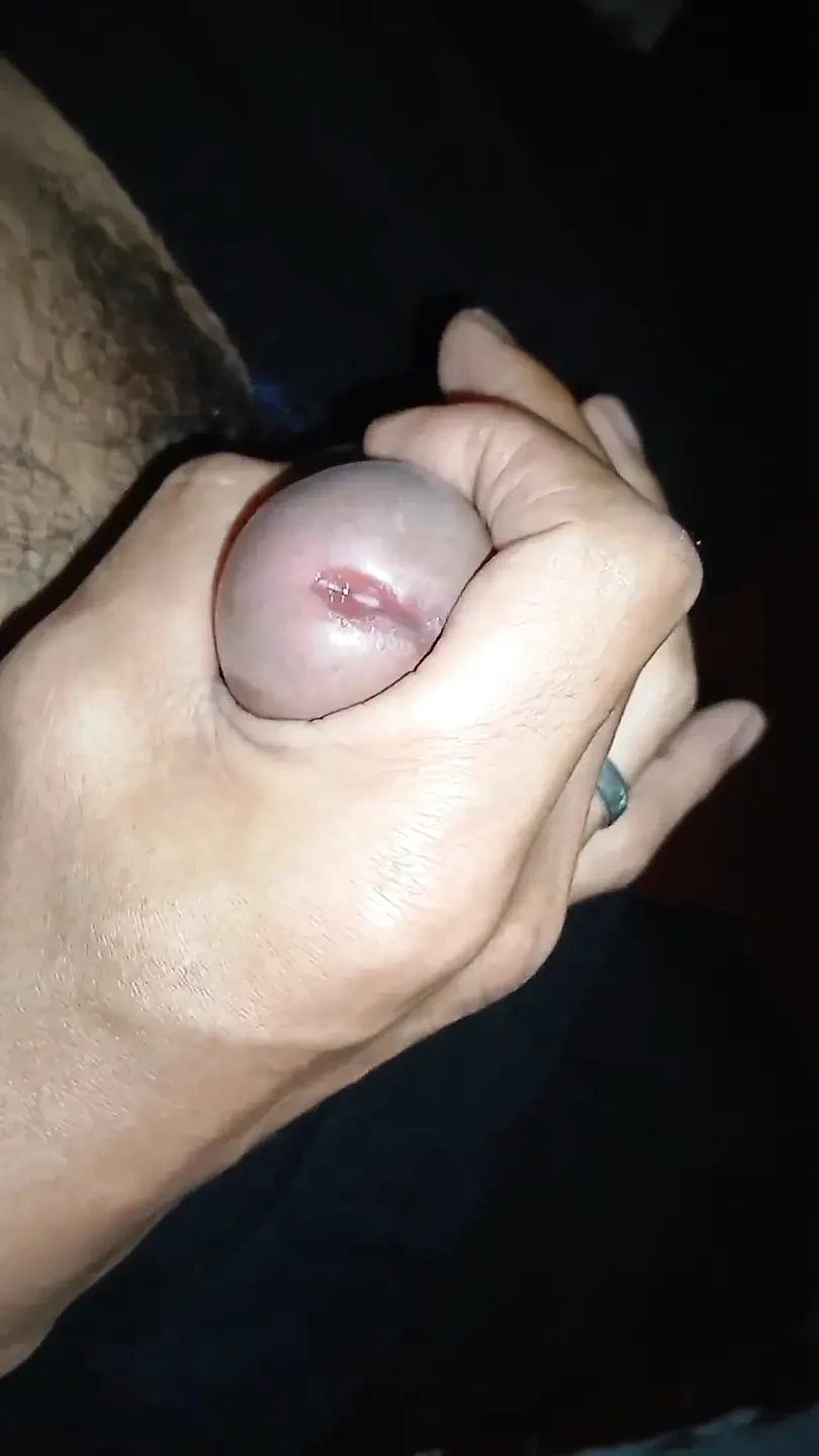 A Squirrel's Tail Finally Comes To An End