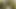 En iyi Fransız bdsm videosu burada!