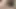 Afrika'nın en büyük yarağının en iyi fotoğrafını almak için sebze banyosu