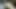 Indian Porn