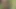 Bir yarak gerçekten iyi hissettirdiğinde