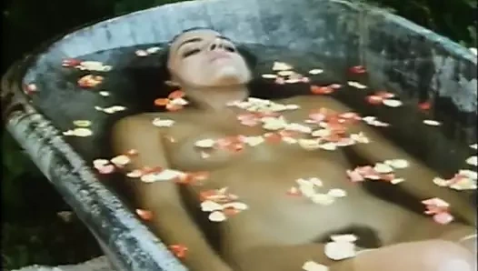 Katie Wolfe - La Vie En Rose