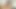 Venus lux gets becerdin tarafından foxxy