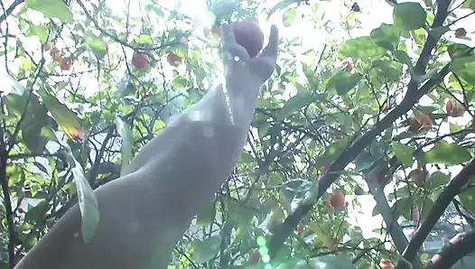 Muhteşem hatun spor salonunda büyük yarağı boşaltıyor