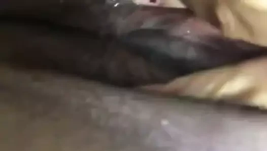 Bbw oynama ile ona kedi