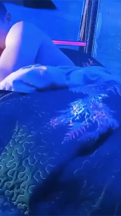 Patronumla tek kişilik yataklı bir otel odasını paylaşıyoruz ve sonunda sikiştik. | Klip 2