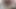 Büyük memeli Taylandlı orta yaşlı seksi çift tutkulu amatör lezbiyen seks yapıyor