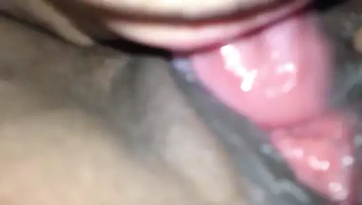 Başlarken benim kedi yaladı