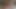 Brezilyalı latina kedi gets creampied tarafından fuckboy