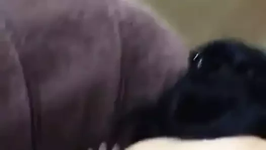 Evde yalnızken beni davet ediyor bölüm - 2