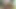 Azgın yüze oturan sürtük ile vahşi açık havada anal dildo oyunu