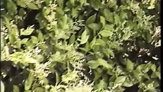 Afrikalı xxx günahkarlar - cilt. #06