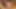 Ava Devine, Dragonlily ve Chynawhite