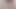 anal kam