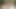 Genç lezbiyenler 69 pozisyonunda birbirlerinin amlarını yalıyor