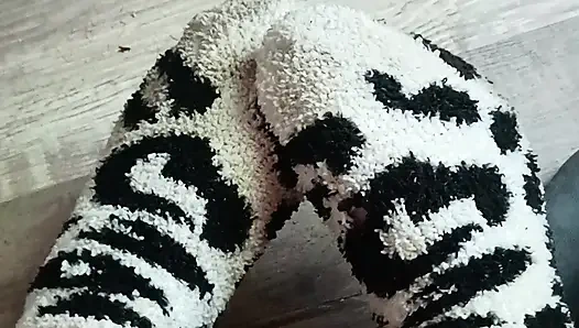 Çoraplarımı çalmayı bırak