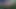 Tombul web kamerası civciv