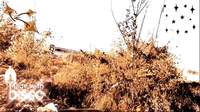 Dışarıda göğüsler gösteriliyor