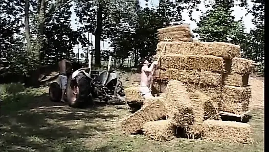 Дикий гэнгбэнг на улице для сексуальной блондинки