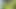 Deshi kısa saç koltuk altı