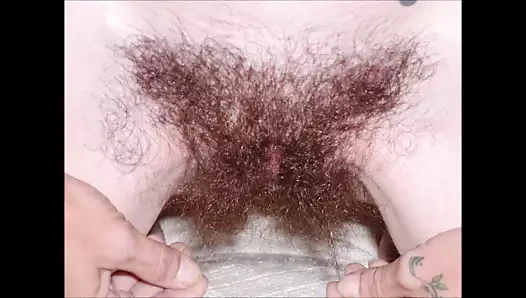 Onun tüylü kedi - yaz trim