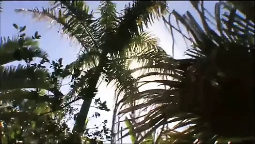 Güzel kadınlarla dolu tropik ada rüya gibi bir tatil