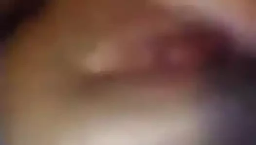 Sıcak ve ıslak kedi o ihtiyaçlar bir sikme