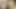 Getting Raw Creampie Sex With A Guy She Met On Social Media