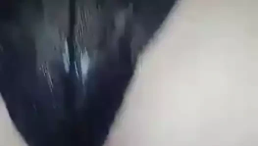 Bbc kahrolası benim hanımları kedi