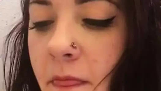 onu kedi şişe fırça