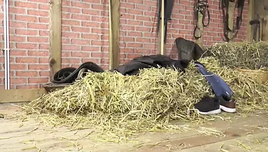 Kırsal hikayeler - bölüm 2