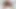 Huge Butt Asian Latina Mix Milf Tokyo Lynn Fucking Big Cock