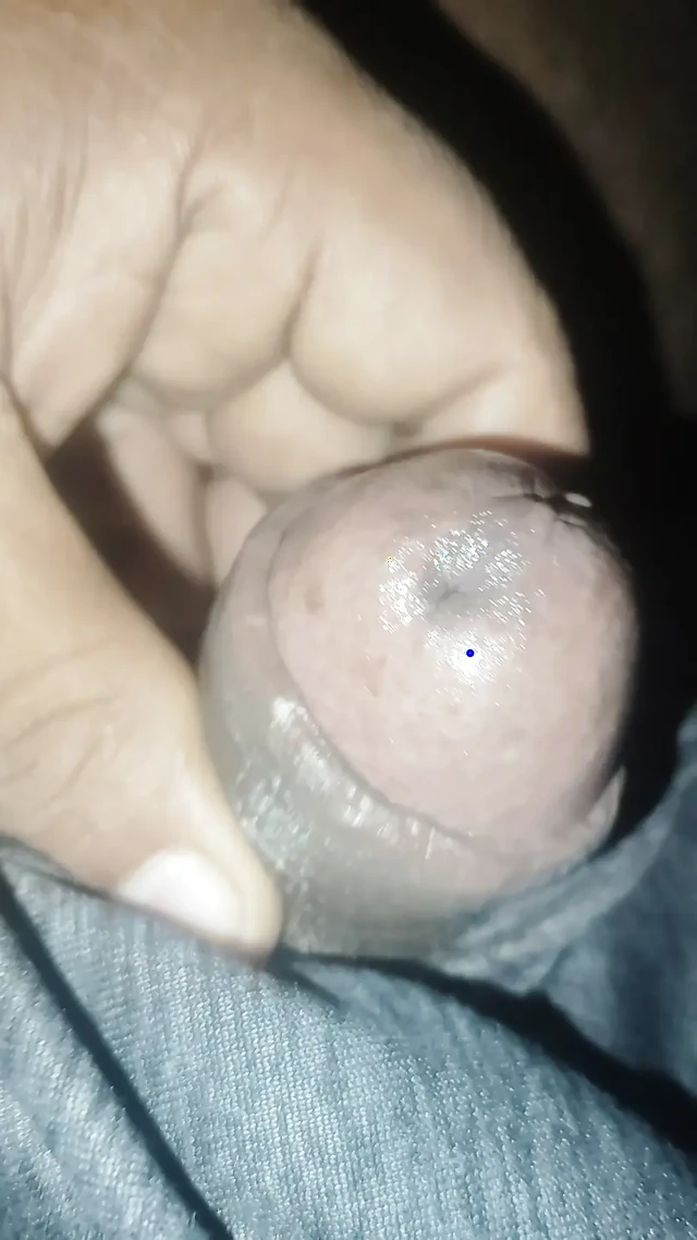 Большая дези Panis