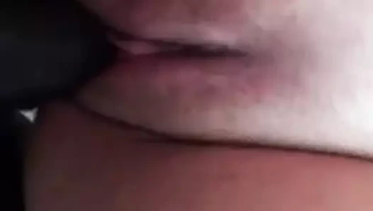 BBC içinde ıslak beyaz kedi