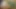 Kirli sandalet ve ayak temizleyicisi!