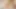 Orta yaşlı seksi kadın angela attison ve brooklyn lee üçlü seksin tadını çıkarıyor