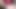 Seksi kız videoları geri döndürüyor