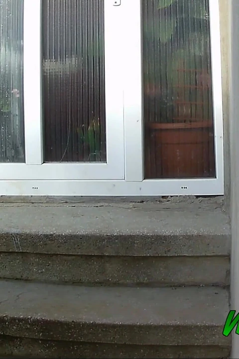 Morning Pee